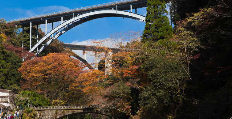 橋のメインビジュアル