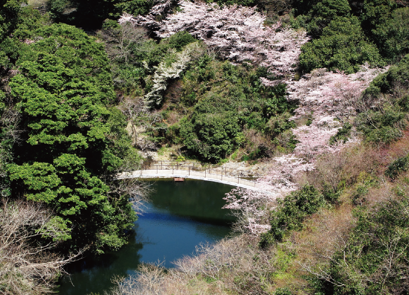 太鼓橋の写真