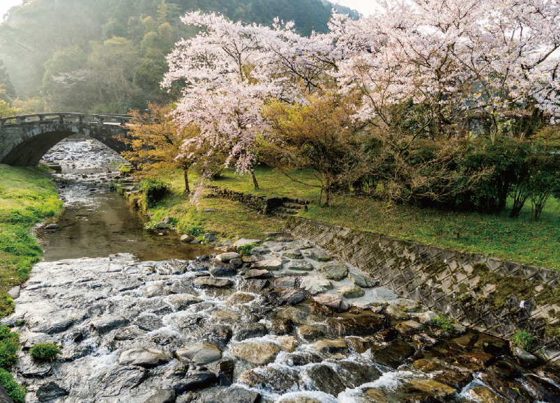 秋月目鏡橋の写真