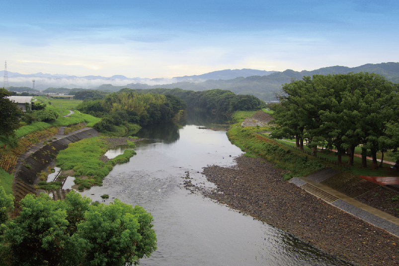 楠木水防林・千間土居の写真