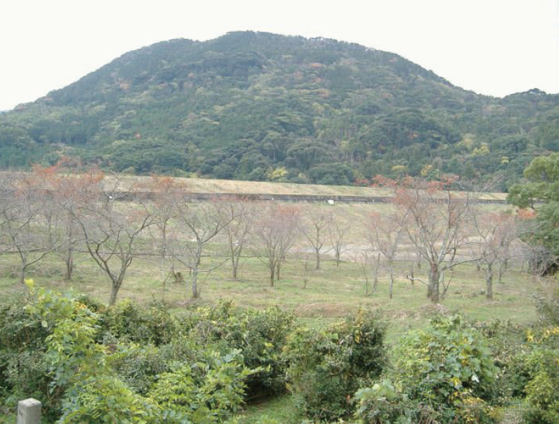 山の田（貯水池）堰堤　溢流路の写真